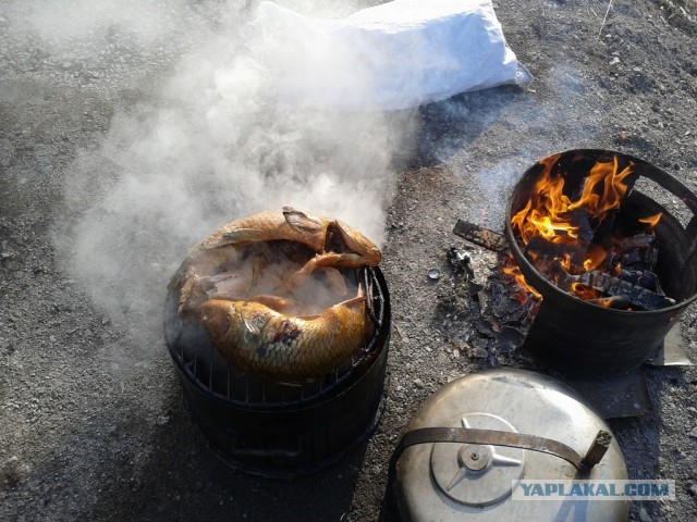 Природа и сазан копчёный.
