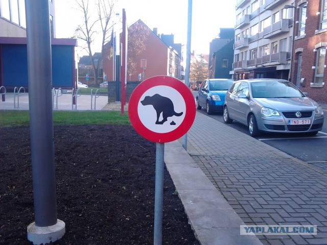 Где яблоки растут!