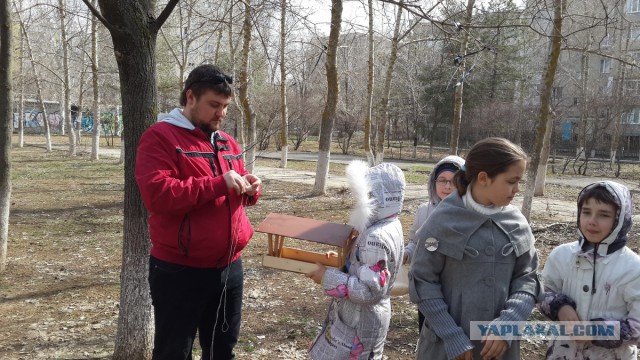 Как я запилил кормушку.