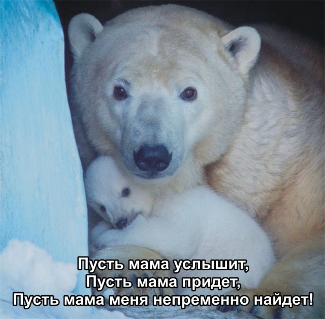 Картинки
