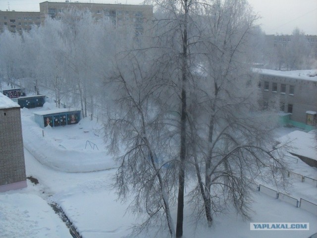 Времена года в фотографиях