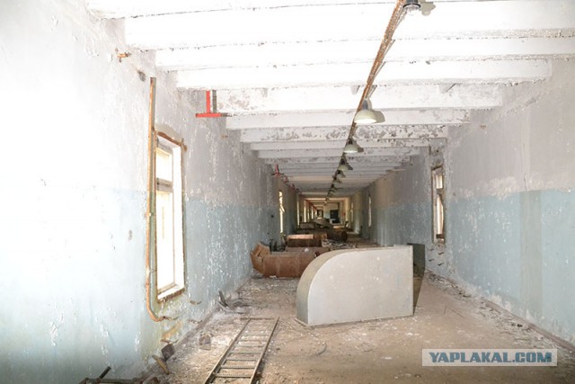 Осень в Зоне Отчуждения