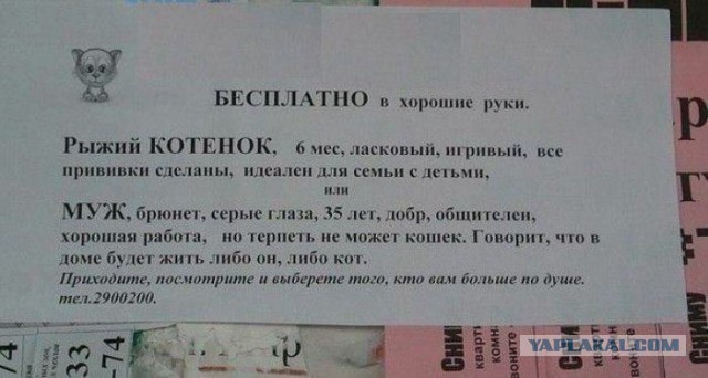 Не юкки ради, улыбки для...