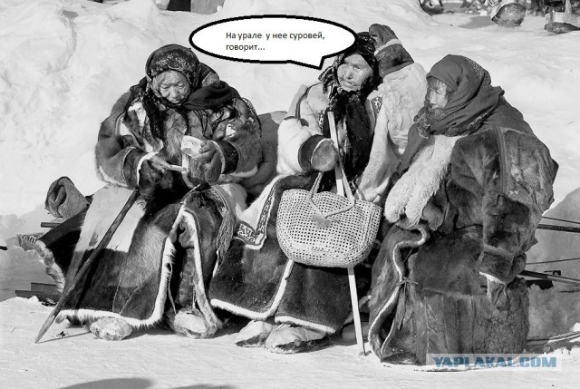 Норковая шуба - Айфон среди одежды