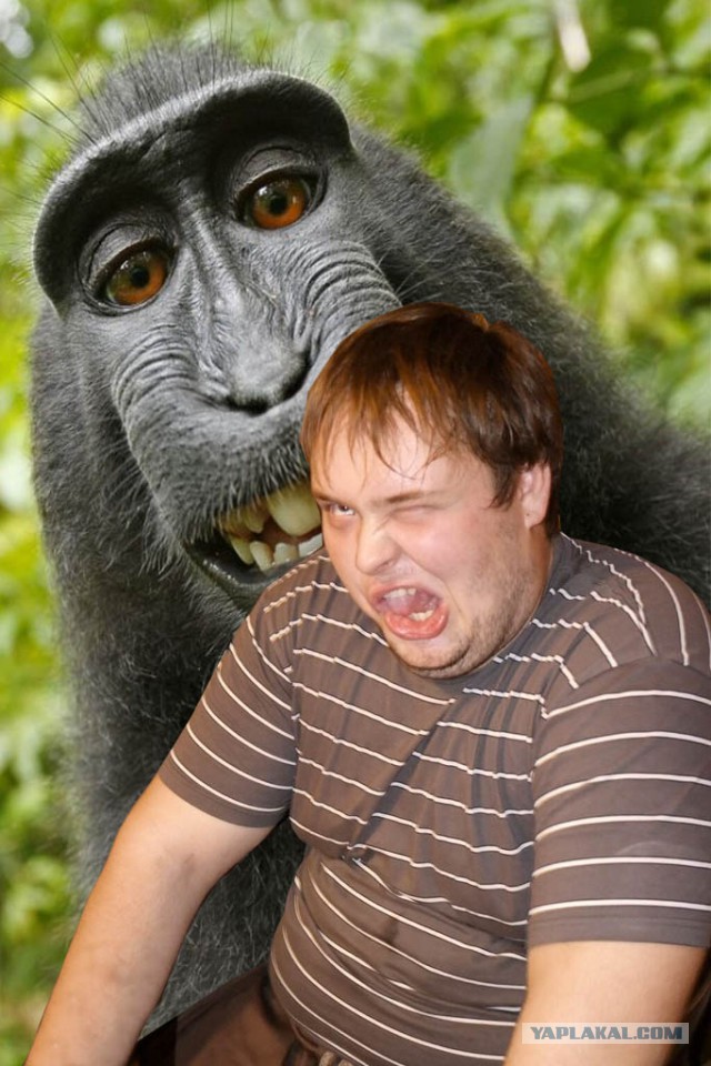 Отфотошопте моё фото