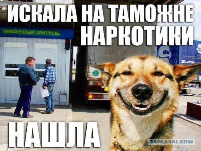 Смешные комментарии 19.03.2015