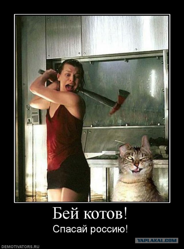 Главная ошибка женщин, которые хотят замуж
