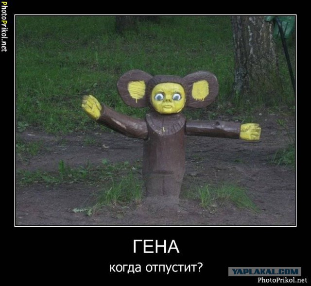 Мистер что
