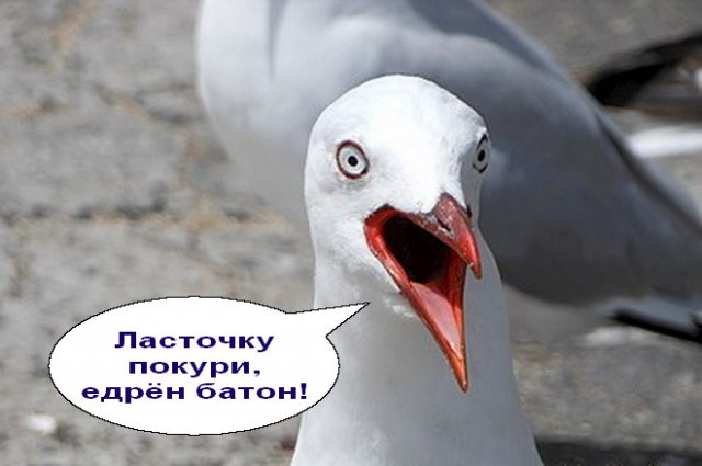 Общество любительниц мужских рук