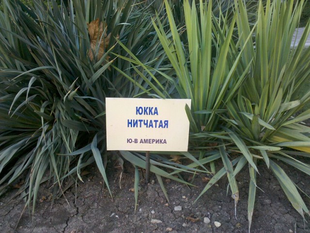 Подборка веселых картинок