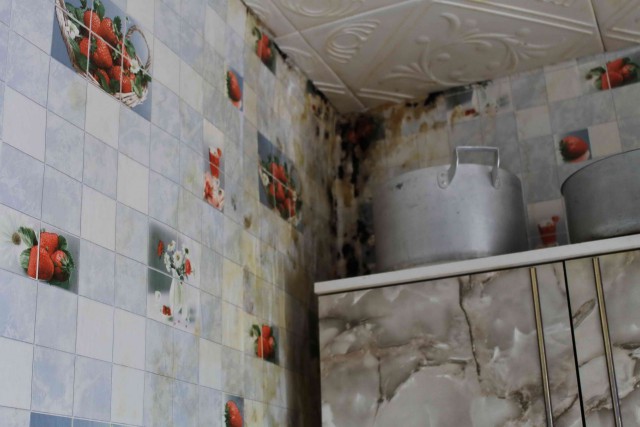 Ужасы арендного жилья