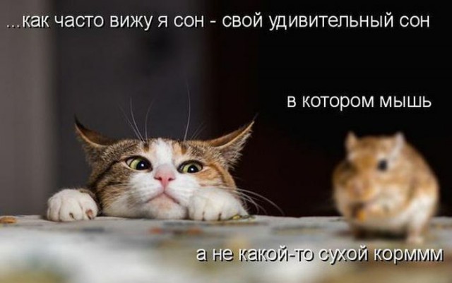 Картинки из сети, подборка на пятницу.
