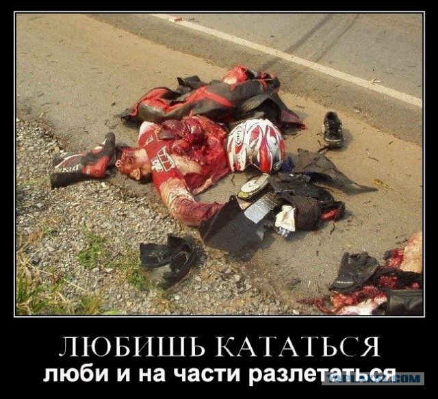 Сезон открыт...