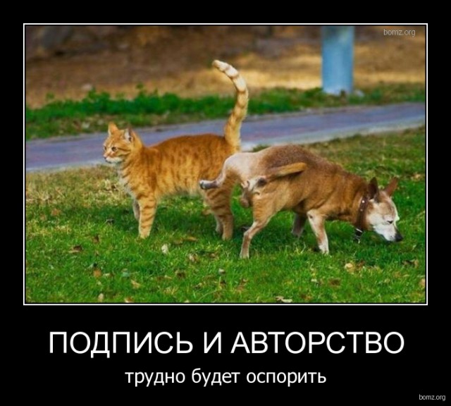 Подборка интересных и веселых картинок