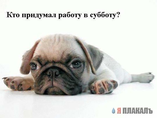 Кто придумал работу в субботу?