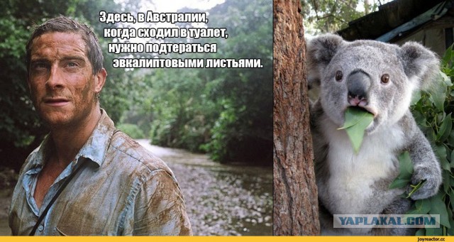 Удивительные факты об Австралии