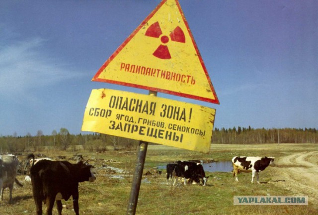 Made in USSR: почему холодильник ЗИЛ и пылесос "Чайка" работают до сих пор.