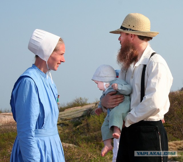 10 фактов про амишей