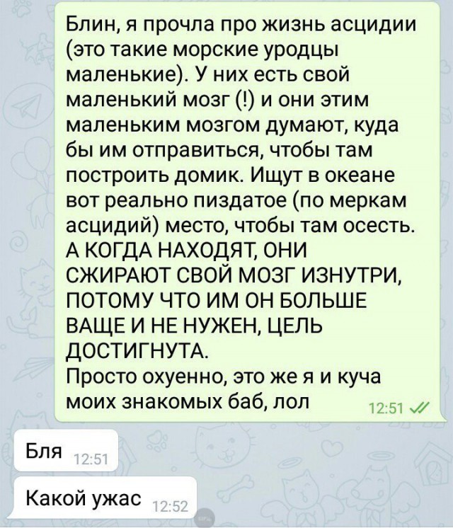 Ужасы и приколы из соцсетей 18+