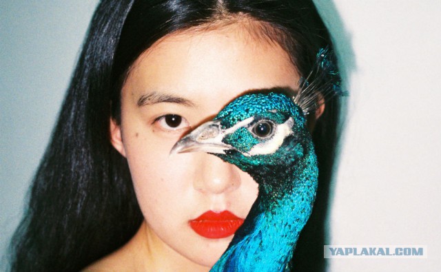 Необычная эротика от китайского фотографа Рен Ханг 18+