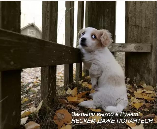 Киев. Новый способ заработать