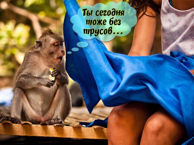 Картинки все подряд