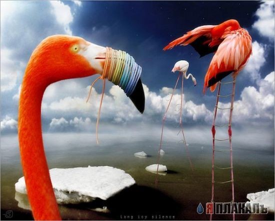 Фентели от Stanislav Jagelo