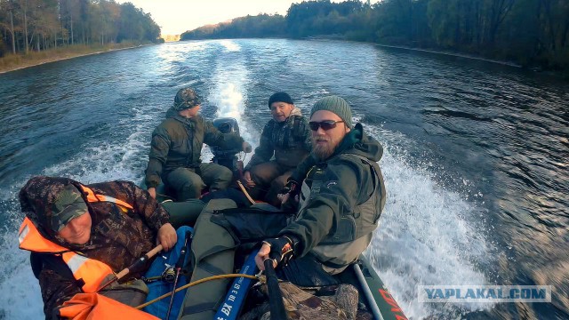 Коппи царя Дальнего Востока.