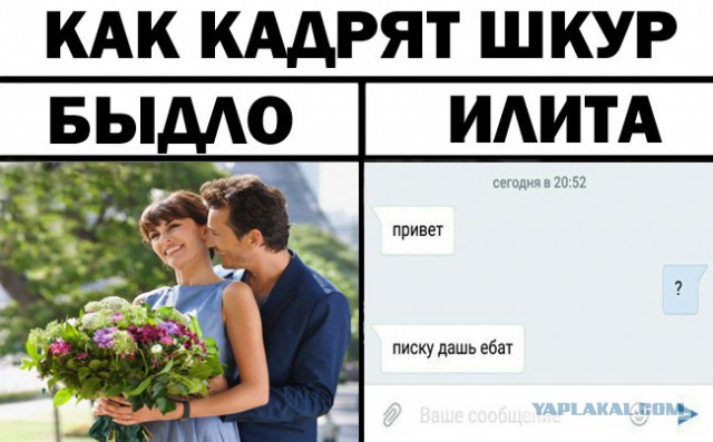 Мигранты изволят знакомиться