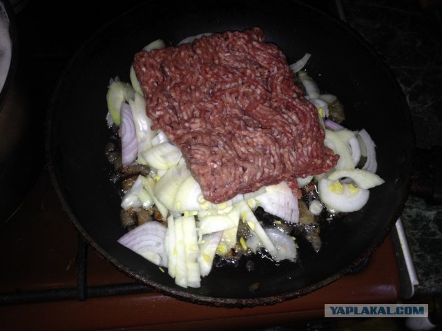 нищебродская кашка, музыкальная