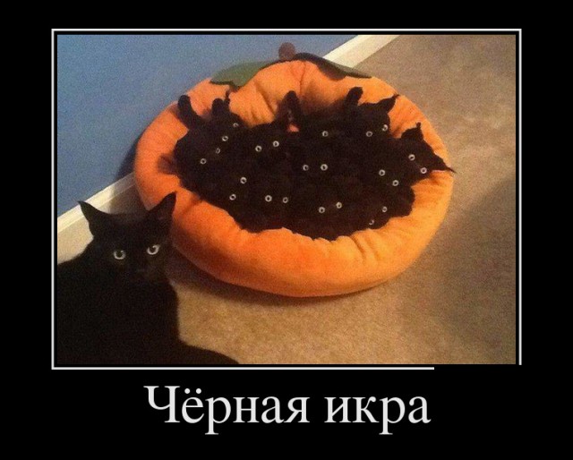 Икра которую мы не замечаем. И очень зря!