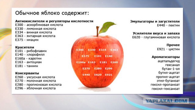 Эпоха одноразовых вещей: почему все так быстро ломается