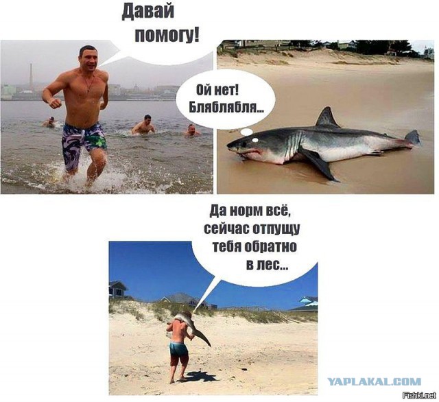 Две не очень умных мамы.