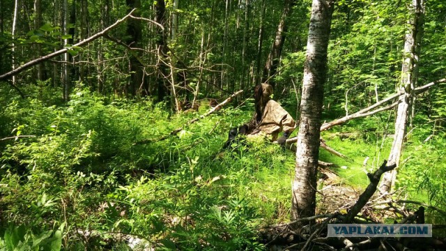 Командировка. В леса