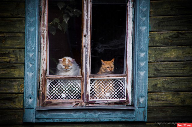 Фотографии русской деревни, которые вызывают ностальгию