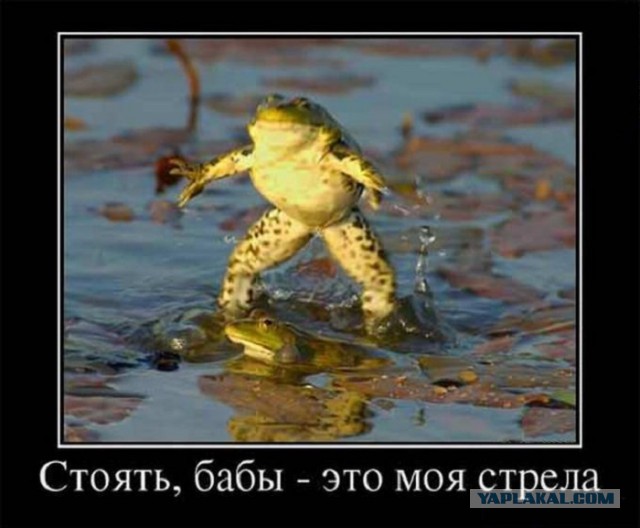 Почему высокие люди сутулятся?