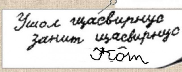 Дурацкие картинки
