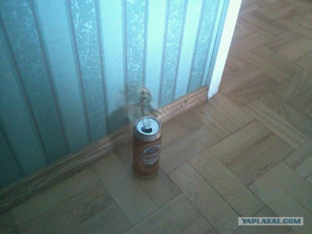 Необъяснимые явления