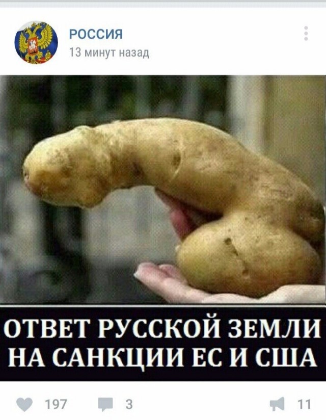 Чуток картинок 14.10.19