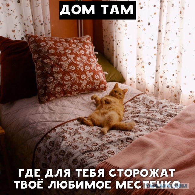 Дом там, где...
