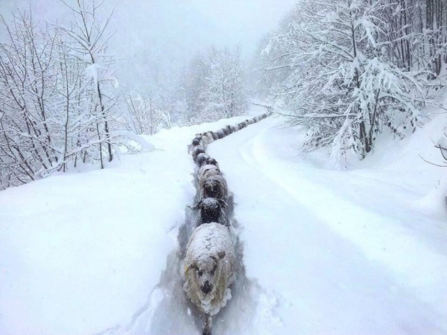 В мире так много интересного