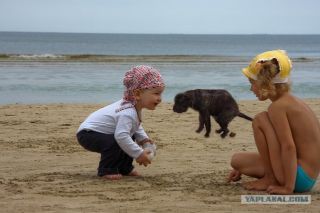 Фотожаба: Случай на пляже