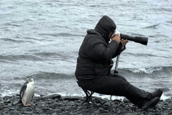 Внимательный фотограф