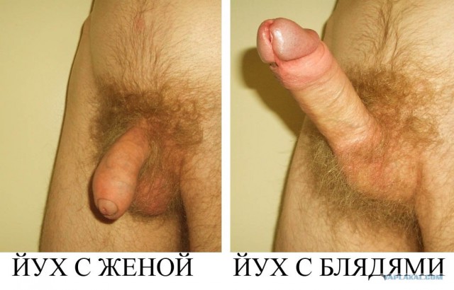 На работе и дома.