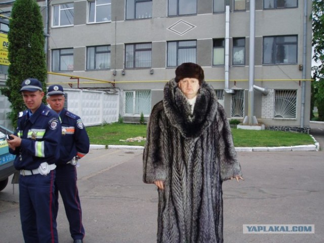 Фотожаба:На связи