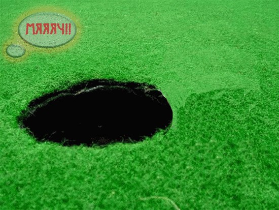 Киса хочет жабы