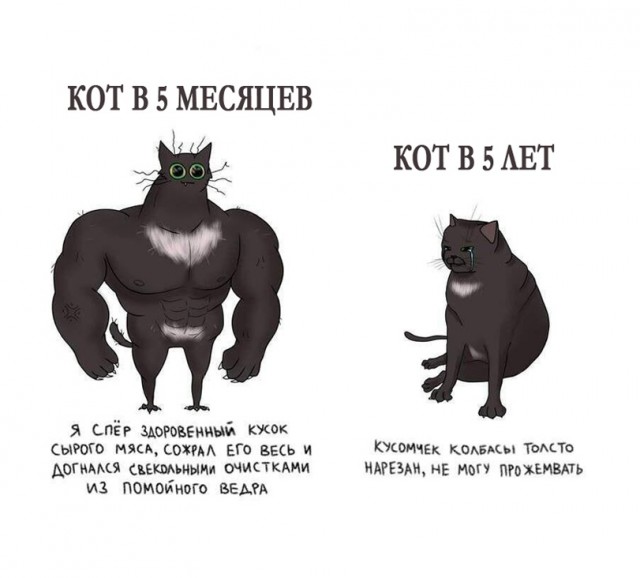 Картинки и мемы для настроения 003