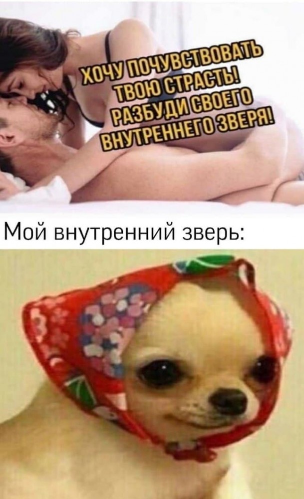 Секс-мемасики 22.03.21