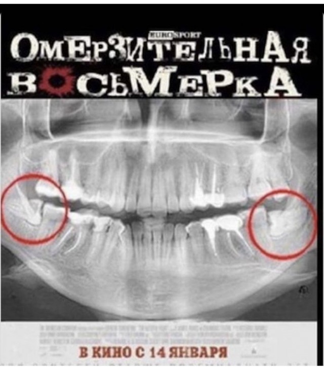 Весёлый полтишок 5.07