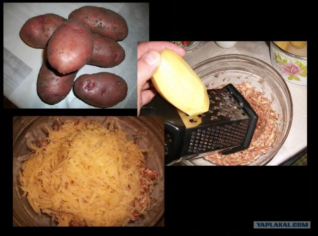Куриная кардиология